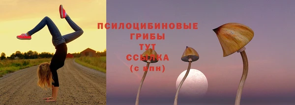ешки Нефтегорск