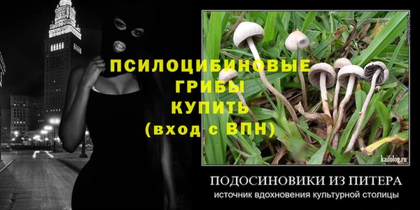 ешки Нефтегорск