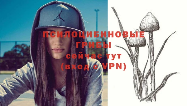 скорость Нефтекумск