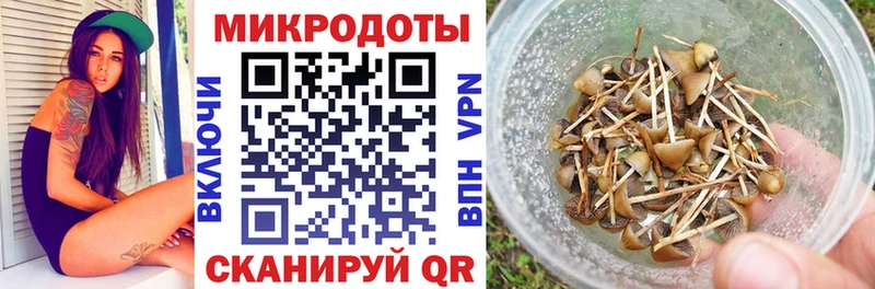 Купить  Урус-Мартан  Галлюциногенные грибы ЛСД 